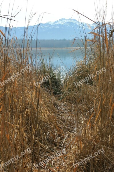 Trail Away Path Walk Lake