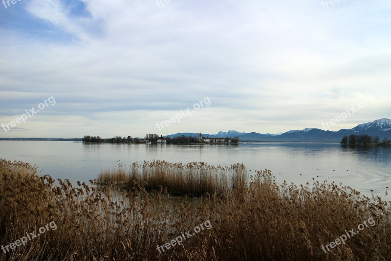 Landscape Chiemsee Reed Island Ladies Island