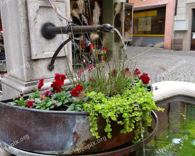 Fountain Flowers Red Green Bucket