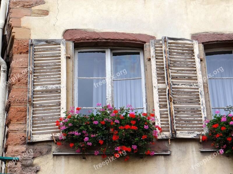 Window Shutters Flowers Stones Picturesque