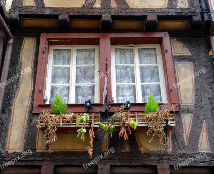 Window Truss Morbid Flowers Historic Center