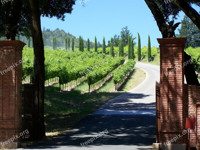 Winery Napa Valley California Wine Country Winegrowing