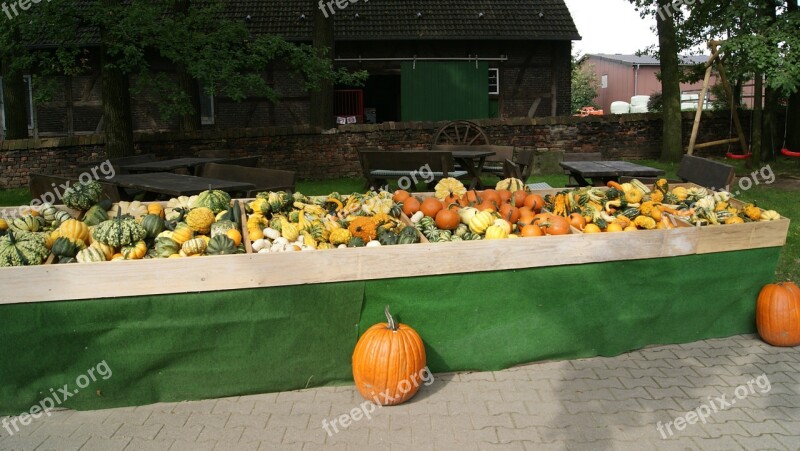 Street Vending Street Stall Vegetable Stand Autumn Halloween