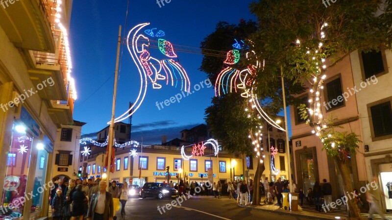 Madeira Funchal Christmas Free Photos