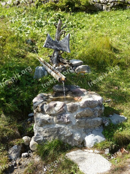 Fountain Water Fountain Nature Water Young