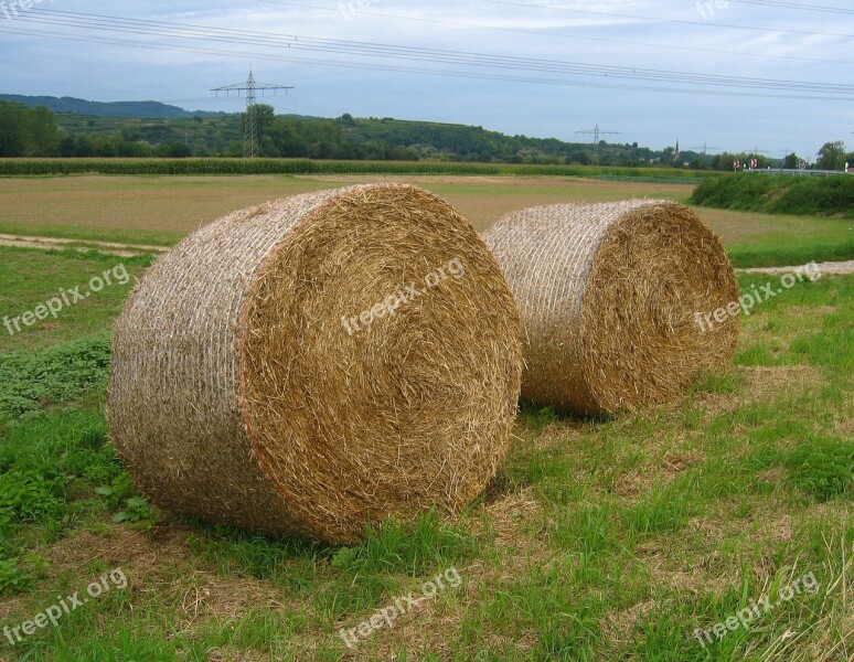 Straw Field Agriculture Landscape Cereals