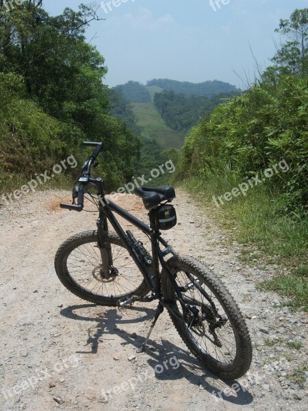 Bike Two Wheels Nature Green Earth