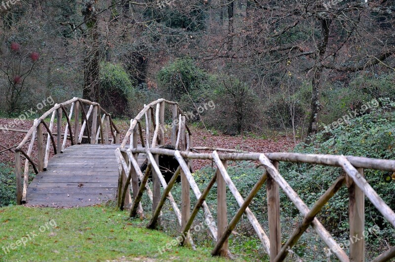 Bridge Ponte Di Legno Forest Nature Free Photos