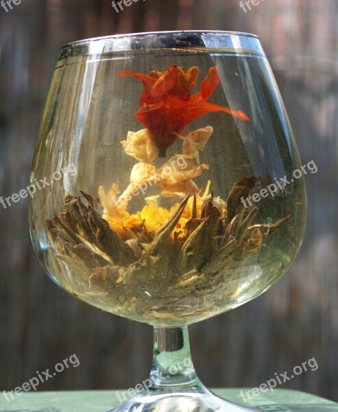 Tea Flower Glass Asia Tee Decoration