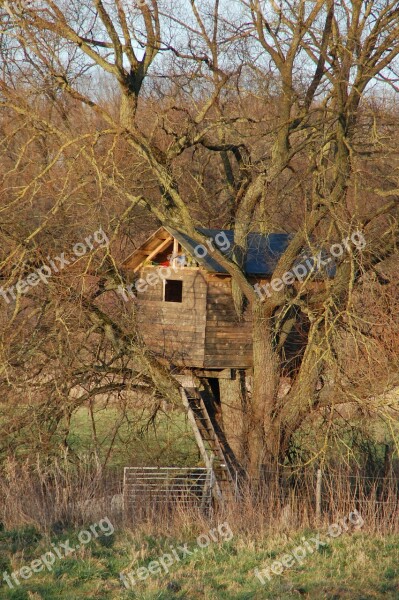 Cabin Wood Treehouse Tree Take Refuge