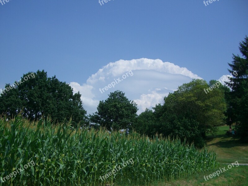 Clouds Clouds Arc Sky Blue Cornfield