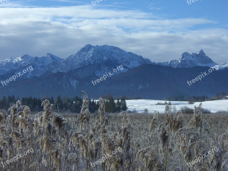 Lake Mountain Panorama Allgäu Frost Winter