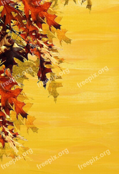 Autumn Background Leaves Emerge Stationery