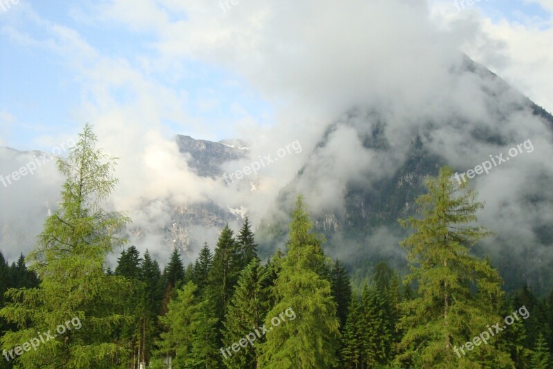 Mountains Fog Achensee Forest Coniferous Forest