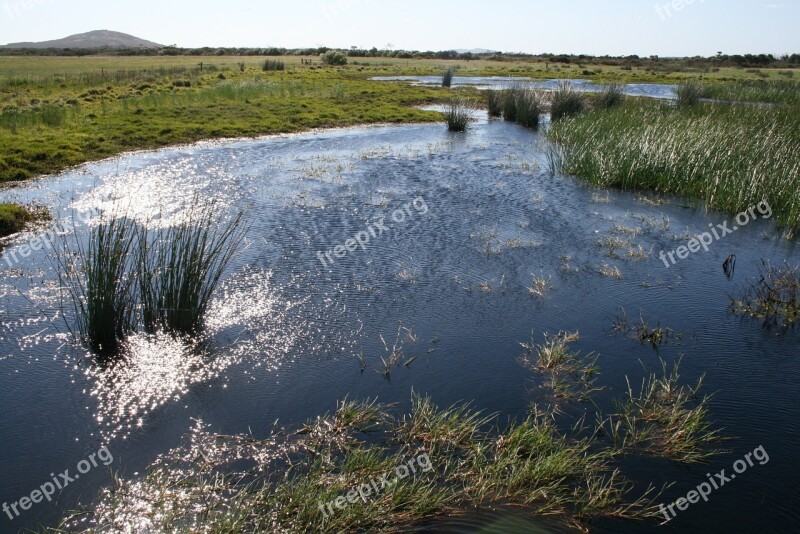 Outback Cape Le Grand Australian Wide Pasture Free Photos