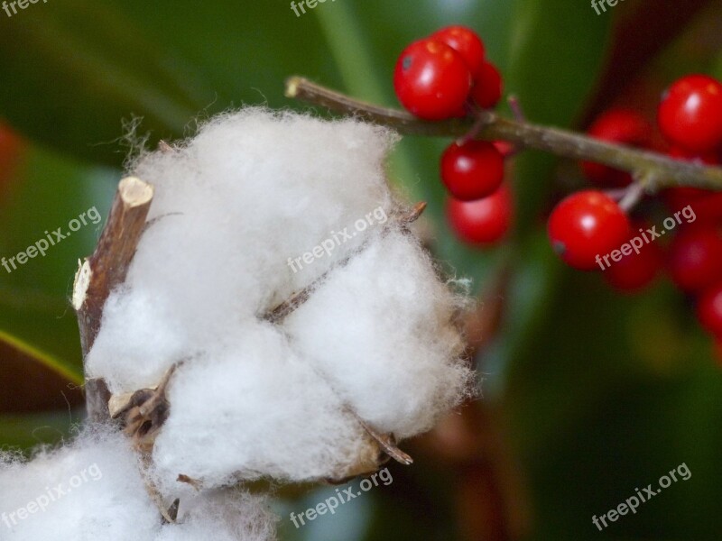 Christmas Decoration Ornament X-mas Holly