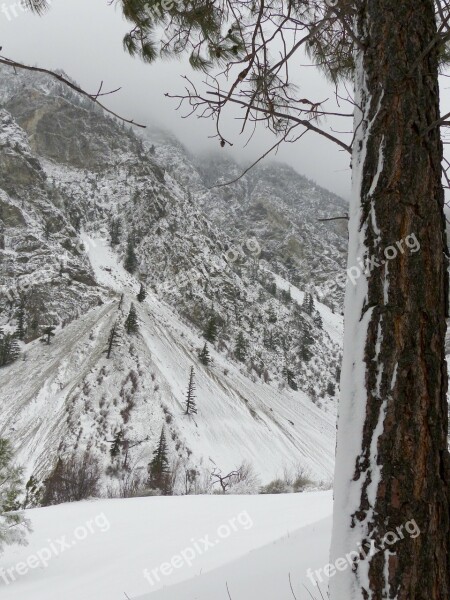 Wintry Landscape Storm Tree Mountain