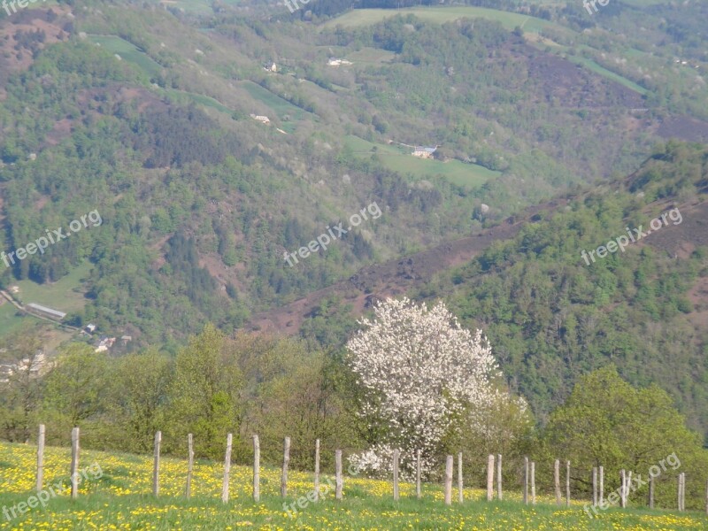 Valle Of The Lot Cantal France Free Photos