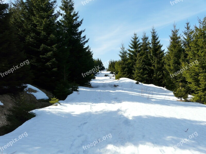 Landscape Snow Brokken Resin Wintry