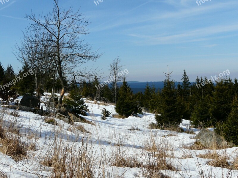 Landscape Snow Brokken Resin Wintry