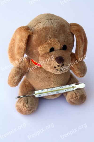 Teddy Dog Stuffed Animal Ill Injured