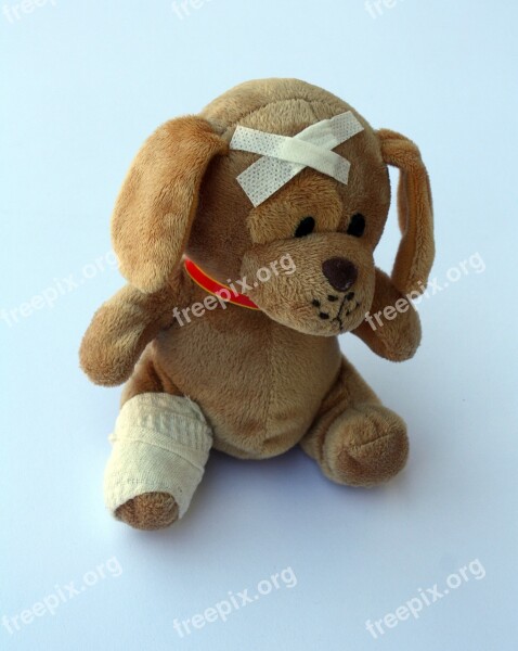 Teddy Dog Stuffed Animal Ill Injured