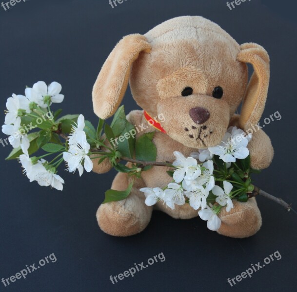 Teddy Dog Stuffed Animal Ill Flowers