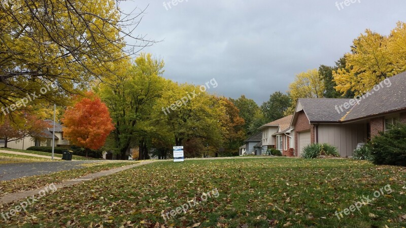 Autumn Trees Season Leaves Colorful