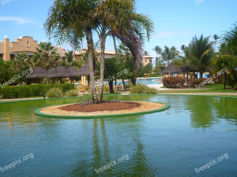 Landscaping Garden Beach Pool Free Photos