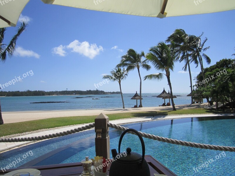 Mauritius Have Breakfast Sea Palm Trees Pool