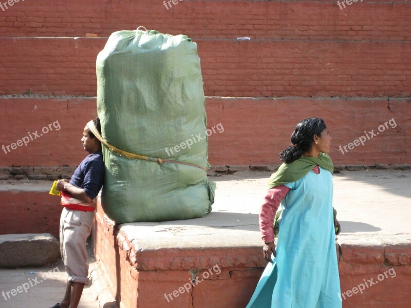 Head Support Bear Last Nepal Kathmandu