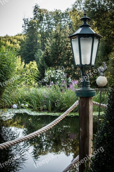 Pond Lamp Teichplanze Plant Garden Pond