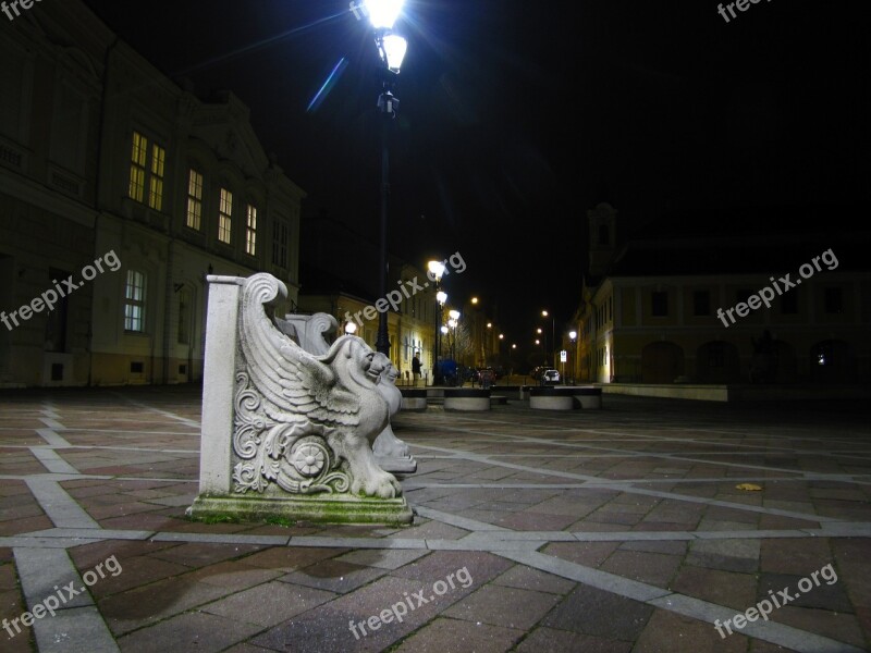 In The Evening Pad Square Lamp Night Picture