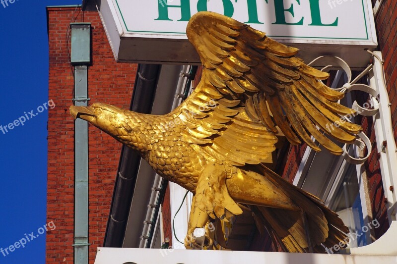 Hotel Adler Gold Building Steeped In History