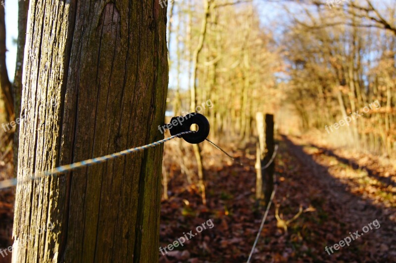 Electric Fence Away Fence Coupling Forest