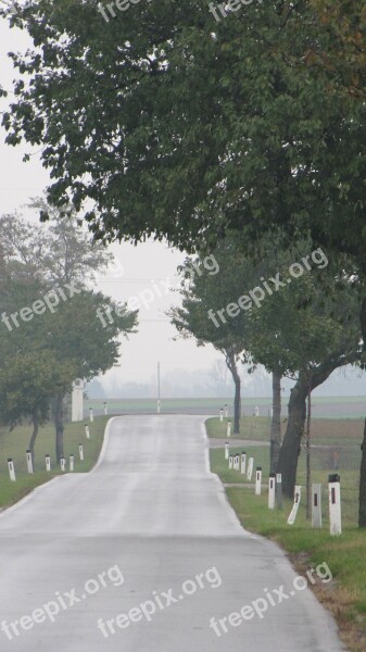 Road Post Street Boundary Pillar Road Asphalt Landscape