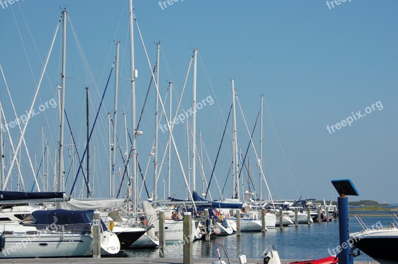 Sailing Boat Zealand Blue Summer Free Photos