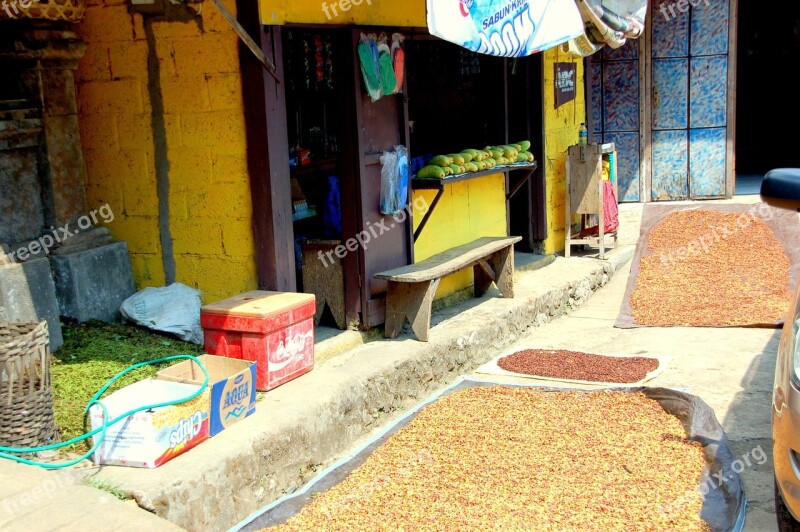 Clove Drying Bali Free Photos