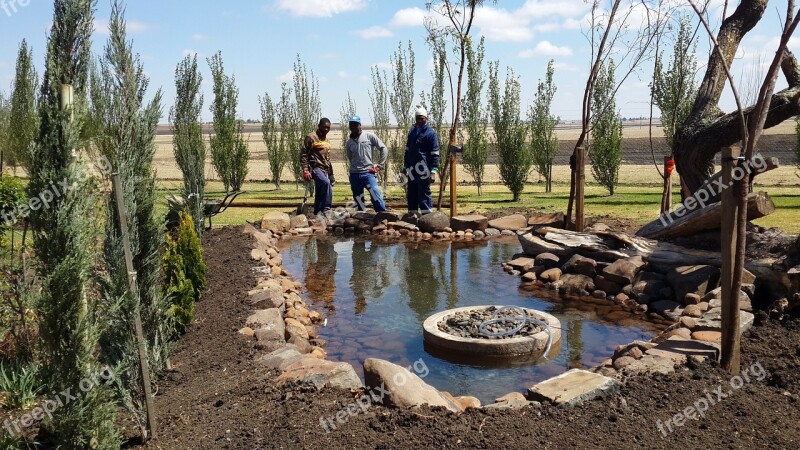 Fishpond Pond Fish Pond Pool Biotope