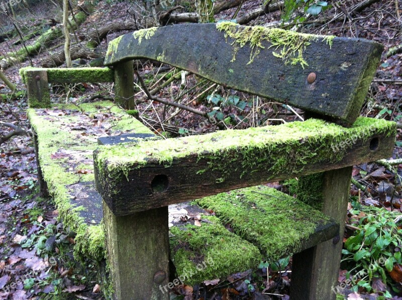 Seat Moss Rest Park Bench Nature