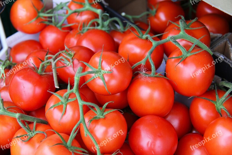 Fresh Red Sweet Tomato Tomatoes