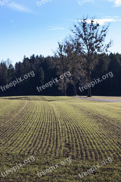 Landscape Arable Spring Earth Green