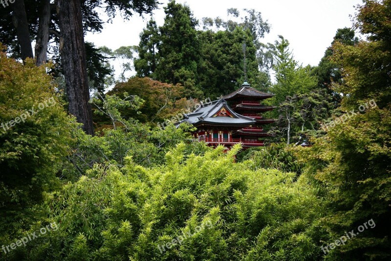 Asian Nature Japanese Forest Japanese Garden