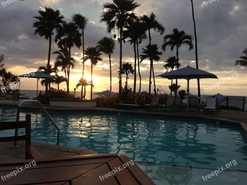 Swimming Pool Pool Vacation Palms Sunset