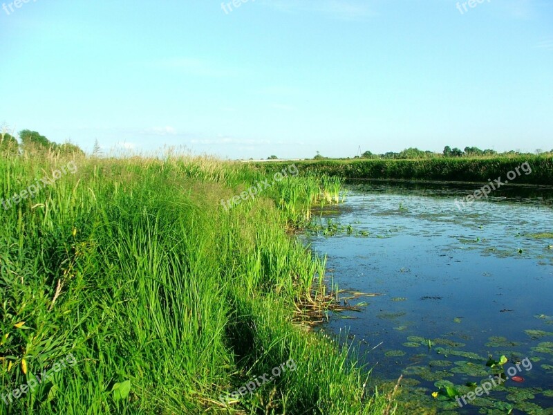 Nature River Warta Free Photos