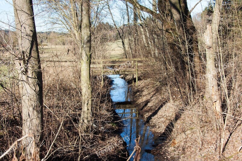 Bach Trees Bridge Boardwalk Nature