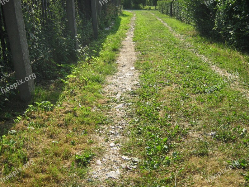 The Path Way Trail Closeup Free Photos