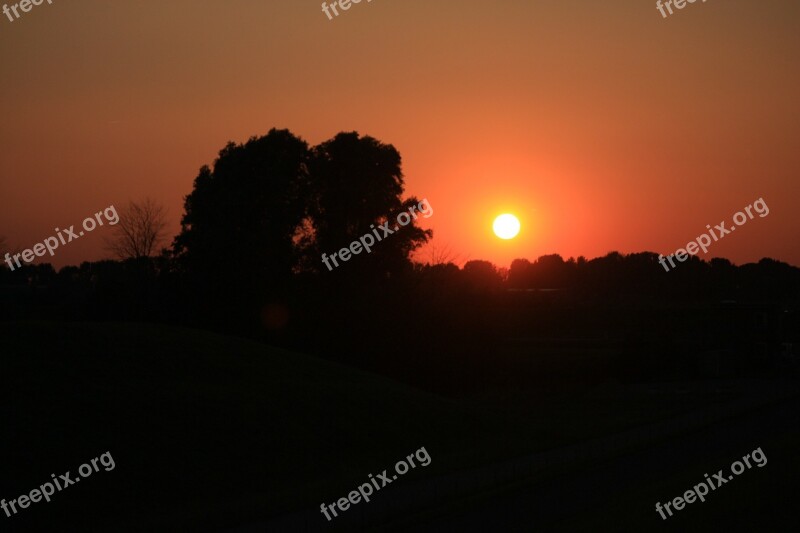 Sunset Trees Evening Sky Plant Nature