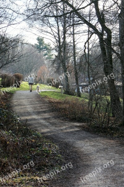 Away Person Woman Dog Walk