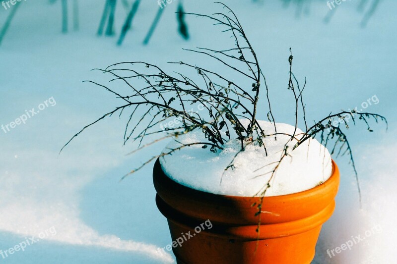 Bucket Flower Pot Snow Winter Free Photos